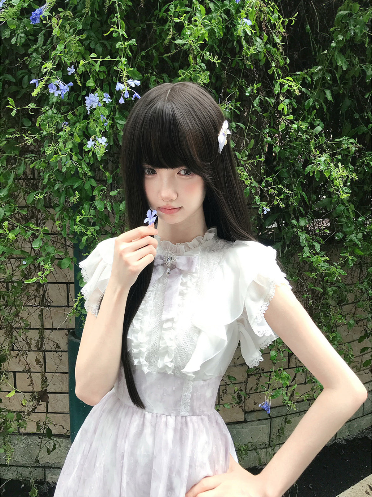 Lace Ruffle Collar Flutter Sleeve Dress LAL0227