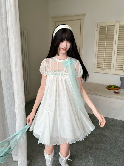 Sheer Lace Puff Sleeve Dress LAL0222