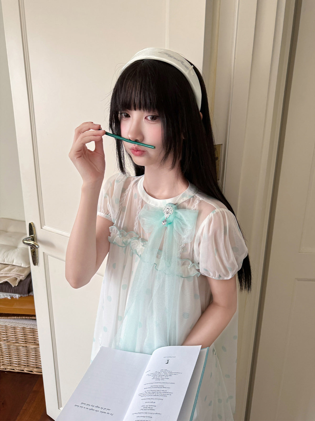 Sheer Lace Puff Sleeve Dress LAL0222